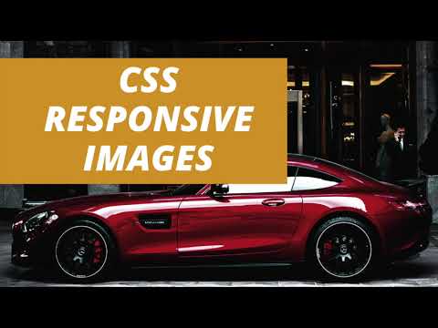 Tutorial CSS | CSS Responsive Pictures Tutorial: Tips on how to make photographs responsive in CSS?