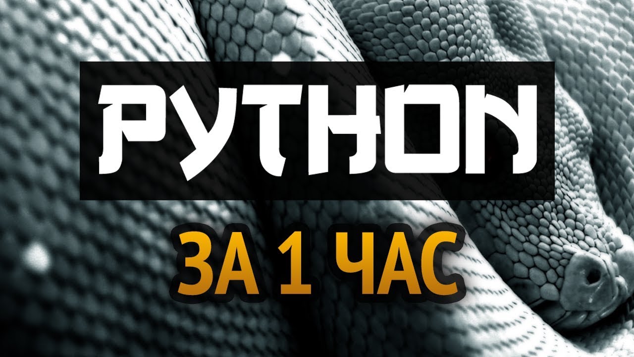Tutorial Python | Be taught Python in 1 hour! #From the skilled