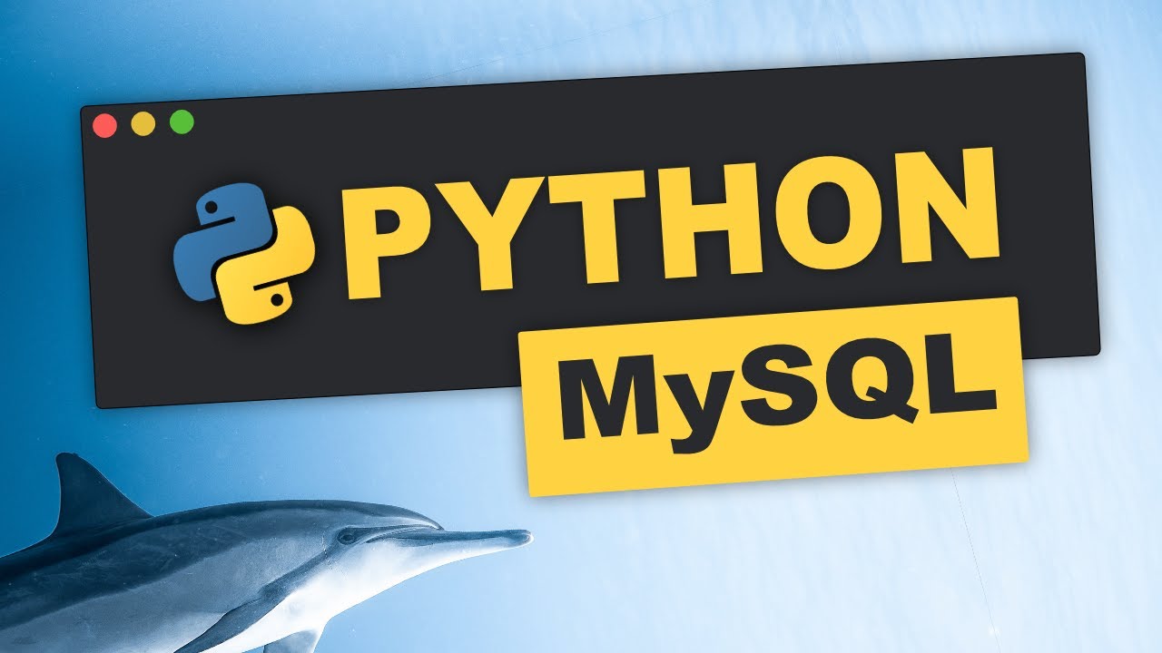 Tutorial MySQL | Python MySQL Half 2/2 | Insert knowledge into databases | Tutorial (German) | for freshmen